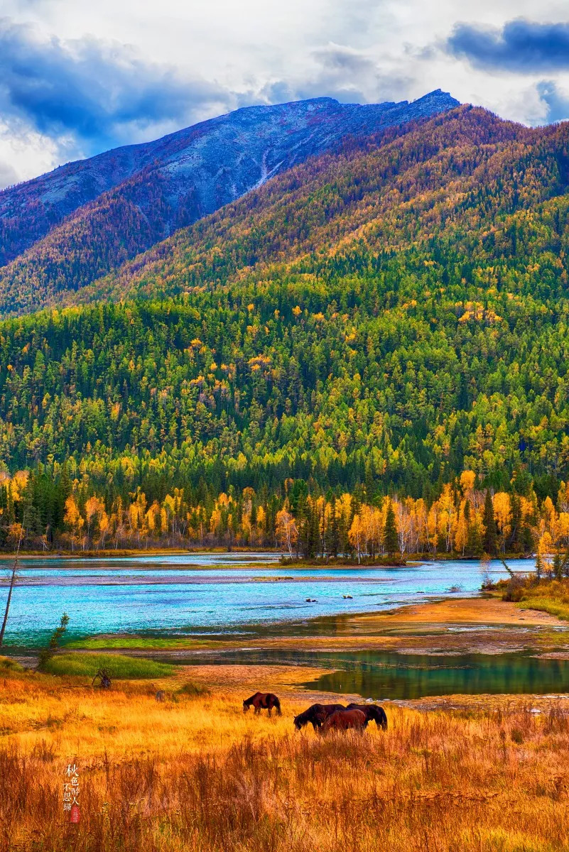 新疆,历史长河中的璀璨明珠闪耀之地