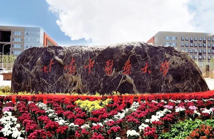 探寻甘肃，历史与现代交融的美丽篇章🌟🏰