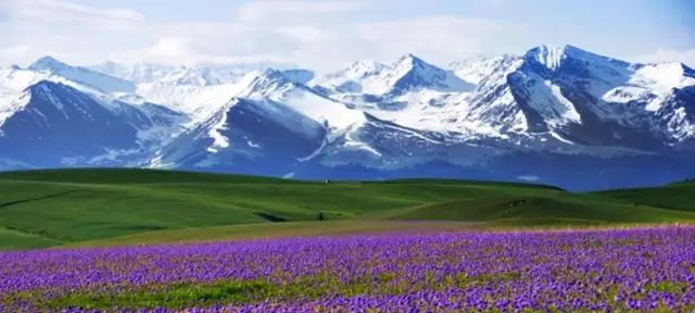 新疆印象，大学生视角下的多元文化融合之地