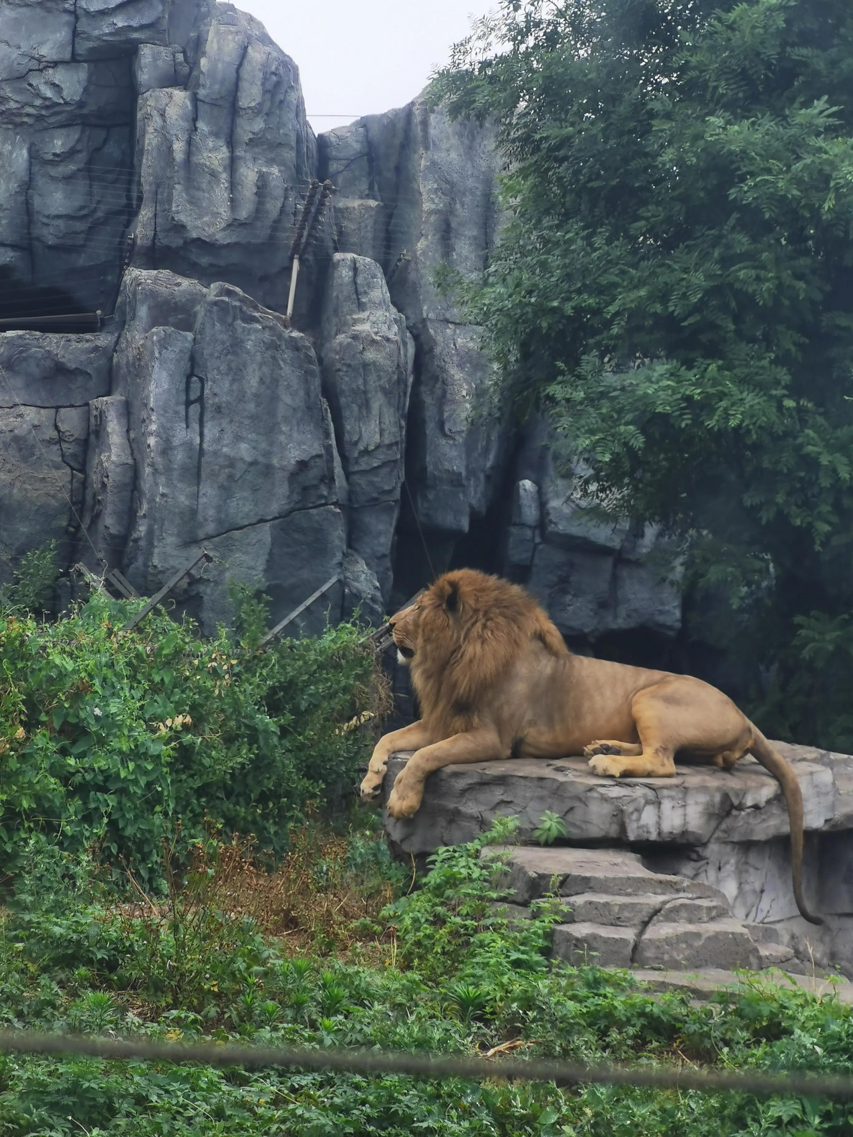 唐山，梦想之城蜕变之旅纪实