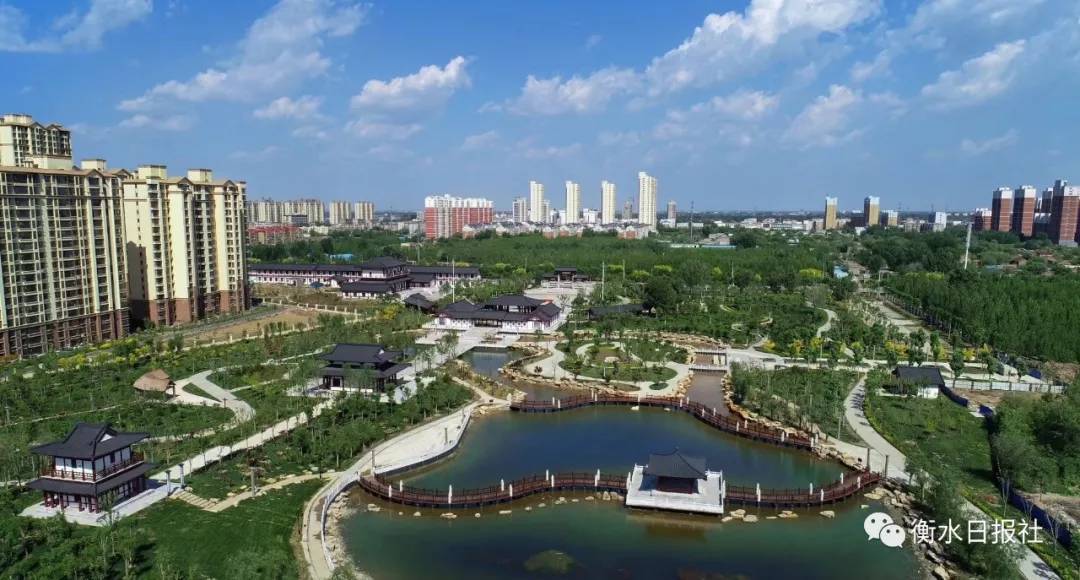 衡水小巷深处,探秘惊喜特色小店